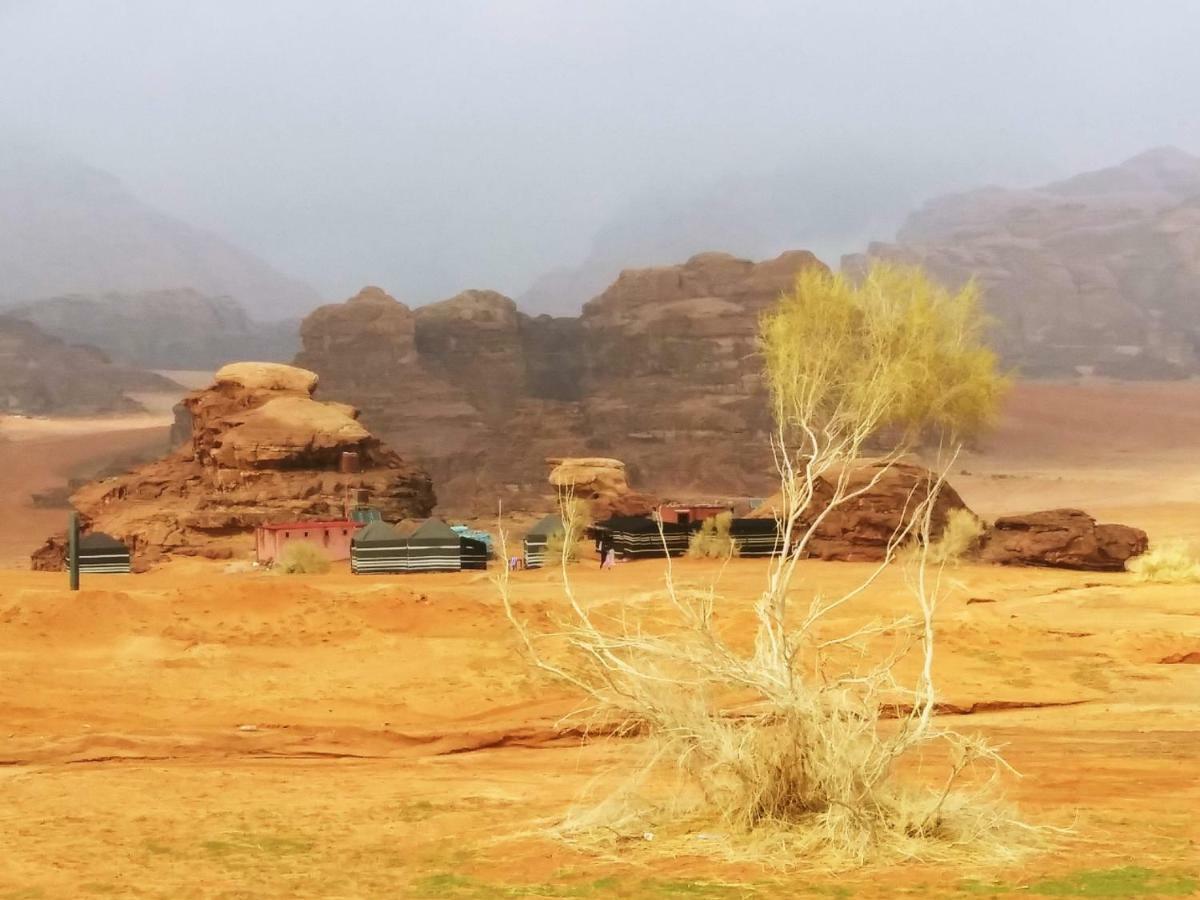 Bedouin Culture Camp Wadi Rum Bagian luar foto